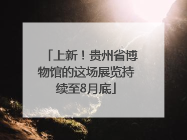 上新！贵州省博物馆的这场展览持续至8月底
