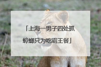 上海一男子四处抓蟑螂只为吃霸王餐