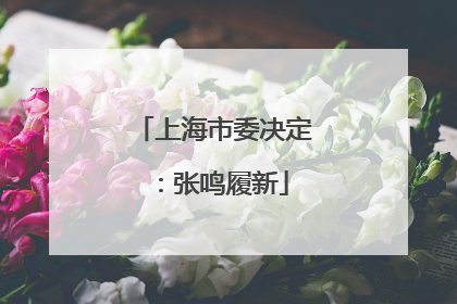 上海市委决定：张鸣履新