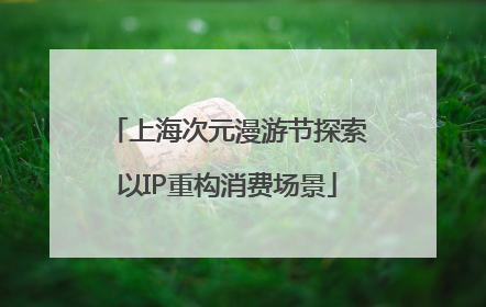 上海次元漫游节探索以IP重构消费场景
