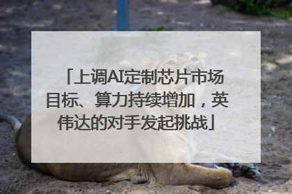 上调AI定制芯片市场目标、算力持续增加，英伟达的对手发起挑战