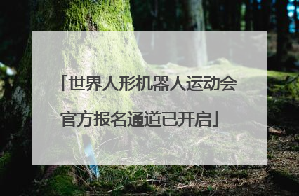 世界人形机器人运动会官方报名通道已开启