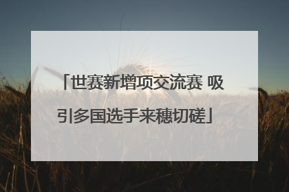 世赛新增项交流赛 吸引多国选手来穗切磋