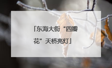 东海大街“四瓣花”天桥亮灯