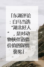 东湖评论：白马当选“湖北好人”，是对动物伙伴道德价值的深情褒奖
