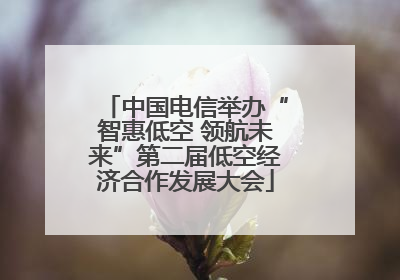 中国电信举办“智惠低空 领航未来”第二届低空经济合作发展大会