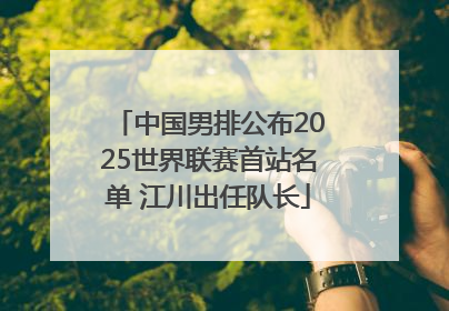 中国男排公布2025世界联赛首站名单 江川出任队长