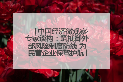 中国经济微观察·专家谈构：筑抵御外部风险制度防线 为民营企业保驾护航