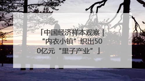 中国经济样本观察｜“内衣小镇”织出500亿元“里子产业”