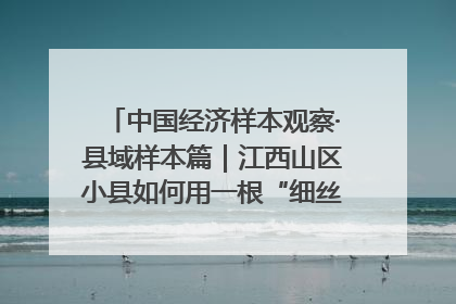 中国经济样本观察·县域样本篇｜江西山区小县如何用一根“细丝”拉出百亿级产业？