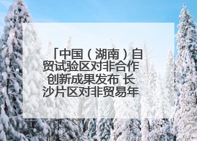 中国（湖南）自贸试验区对非合作创新成果发布 长沙片区对非贸易年均增长141%