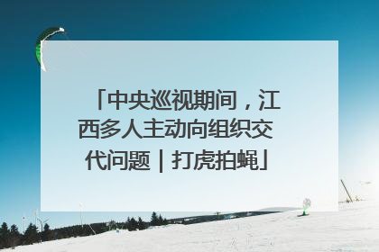 中央巡视期间，江西多人主动向组织交代问题｜打虎拍蝇