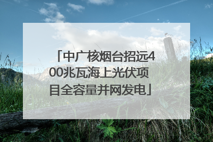 中广核烟台招远400兆瓦海上光伏项目全容量并网发电