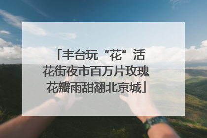 丰台玩“花”活 花街夜市百万片玫瑰花瓣雨甜翻北京城
