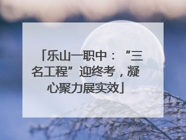 乐山一职中：“三名工程”迎终考，凝心聚力展实效
