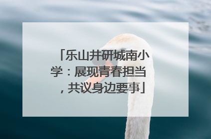 乐山井研城南小学：展现青春担当，共议身边要事