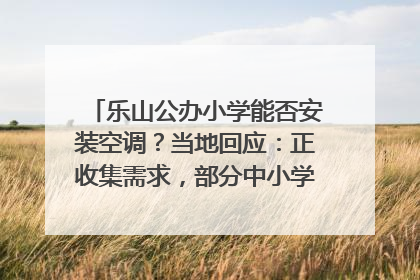 乐山公办小学能否安装空调？当地回应：正收集需求，部分中小学已启动安装｜云求助