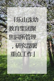 乐山洙幼教育集团聚焦园所管理，研究部署重点工作
