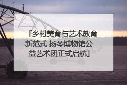 乡村美育与艺术教育新范式 扬琴博物馆公益艺术团正式启航