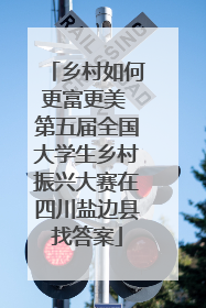 乡村如何更富更美 第五届全国大学生乡村振兴大赛在四川盐边县找答案
