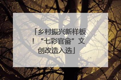 乡村振兴新样板！“七彩官畲”文创改造入选