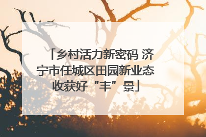 乡村活力新密码 济宁市任城区田园新业态收获好“丰”景