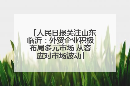 人民日报关注山东临沂：外贸企业积极布局多元市场 从容应对市场波动