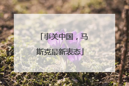 事关中国，马斯克最新表态