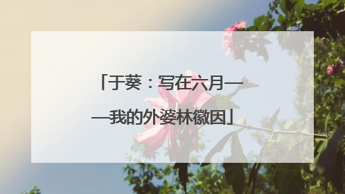 于葵：写在六月——我的外婆林徽因