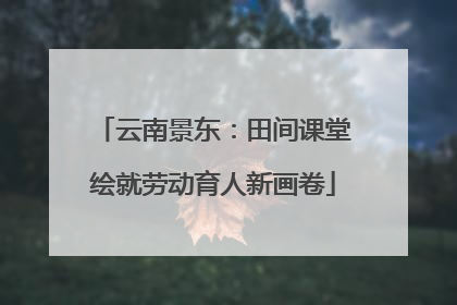 云南景东：田间课堂绘就劳动育人新画卷