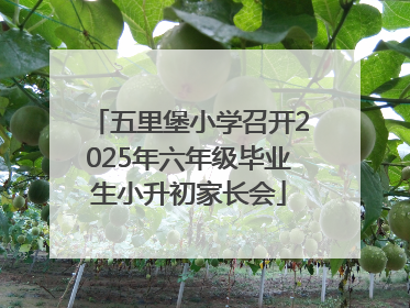 五里堡小学召开2025年六年级毕业生小升初家长会