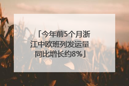 今年前5个月浙江中欧班列发运量同比增长约8%
