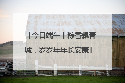 今日端午丨粽香飘春城，岁岁年年长安康