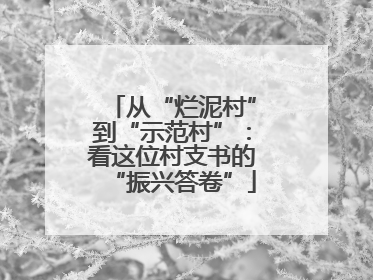从“烂泥村”到“示范村”：看这位村支书的“振兴答卷”