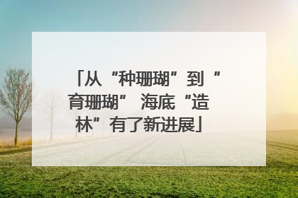 从“种珊瑚”到“育珊瑚” 海底“造林”有了新进展