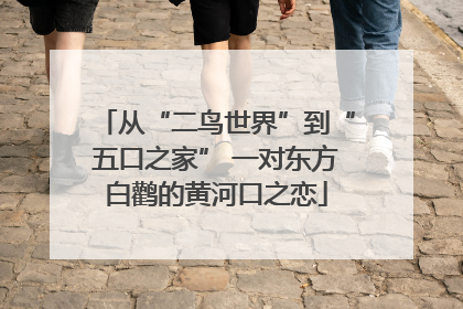 从“二鸟世界”到“五口之家” 一对东方白鹳的黄河口之恋