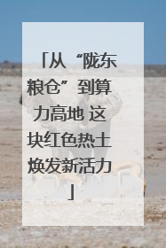 从“陇东粮仓”到算力高地 这块红色热土焕发新活力