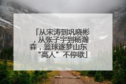 从宋涛到巩晓彬，从张子宇到杨瀚森，篮球逐梦山东“高人”不停歇