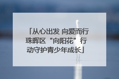从心出发 向爱而行 珠晖区“向阳花”行动守护青少年成长