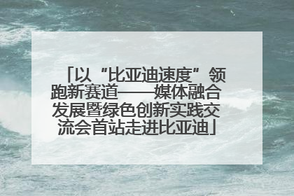 以“比亚迪速度”领跑新赛道——媒体融合发展暨绿色创新实践交流会首站走进比亚迪