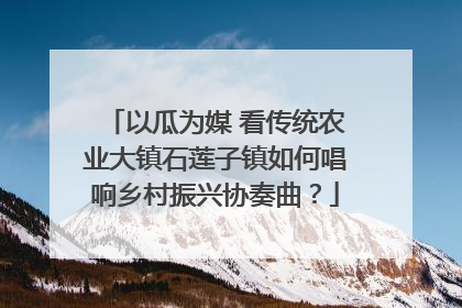 以瓜为媒 看传统农业大镇石莲子镇如何唱响乡村振兴协奏曲？