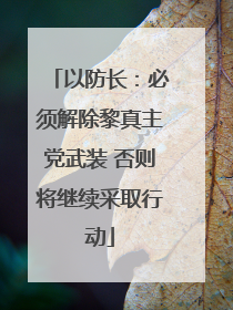 以防长：必须解除黎真主党武装 否则将继续采取行动