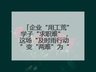 企业“用工荒”学子“求职难”，这场“及时雨行动”变“两难”为“双赢”
