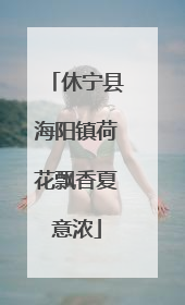 休宁县海阳镇荷花飘香夏意浓