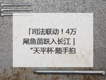 司法联动！4万尾鱼苗跃入长江｜“天平杯·随手拍”作品展播