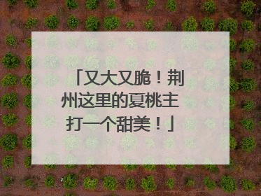 又大又脆！荆州这里的夏桃主打一个甜美！