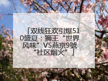 双线狂欢引爆510盛夏：狮王“世界风味”VS燕京9號“社区烟火”