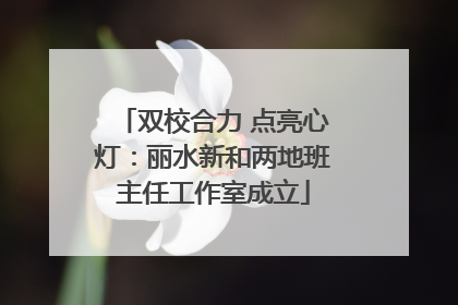 双校合力 点亮心灯：丽水新和两地班主任工作室成立