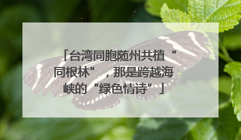 台湾同胞随州共植“同根林”，那是跨越海峡的“绿色情诗”