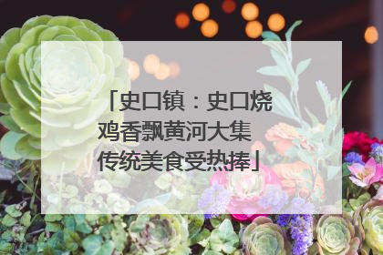 史口镇：史口烧鸡香飘黄河大集 传统美食受热捧